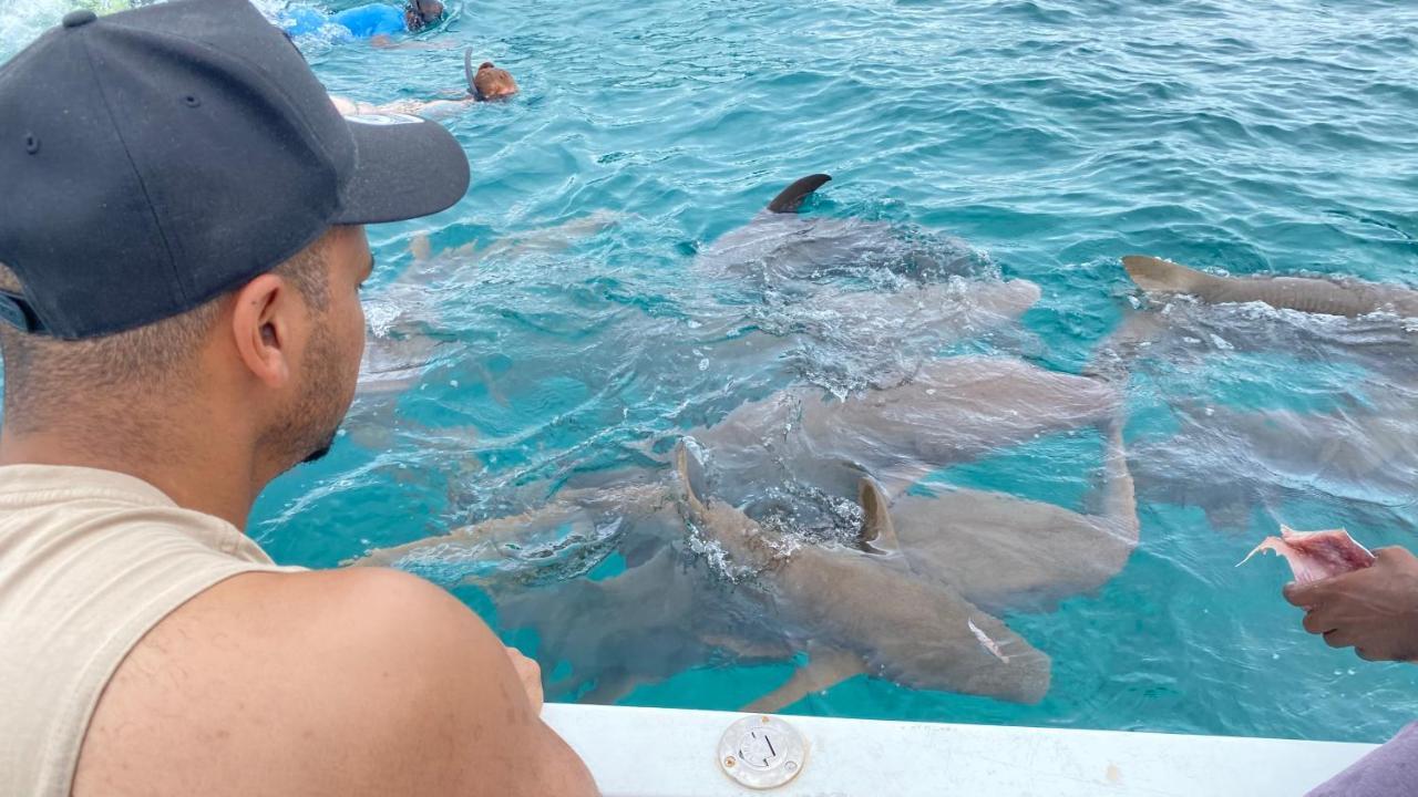 Alimas Holiday Retreat Maldives Фелиду Екстериор снимка
