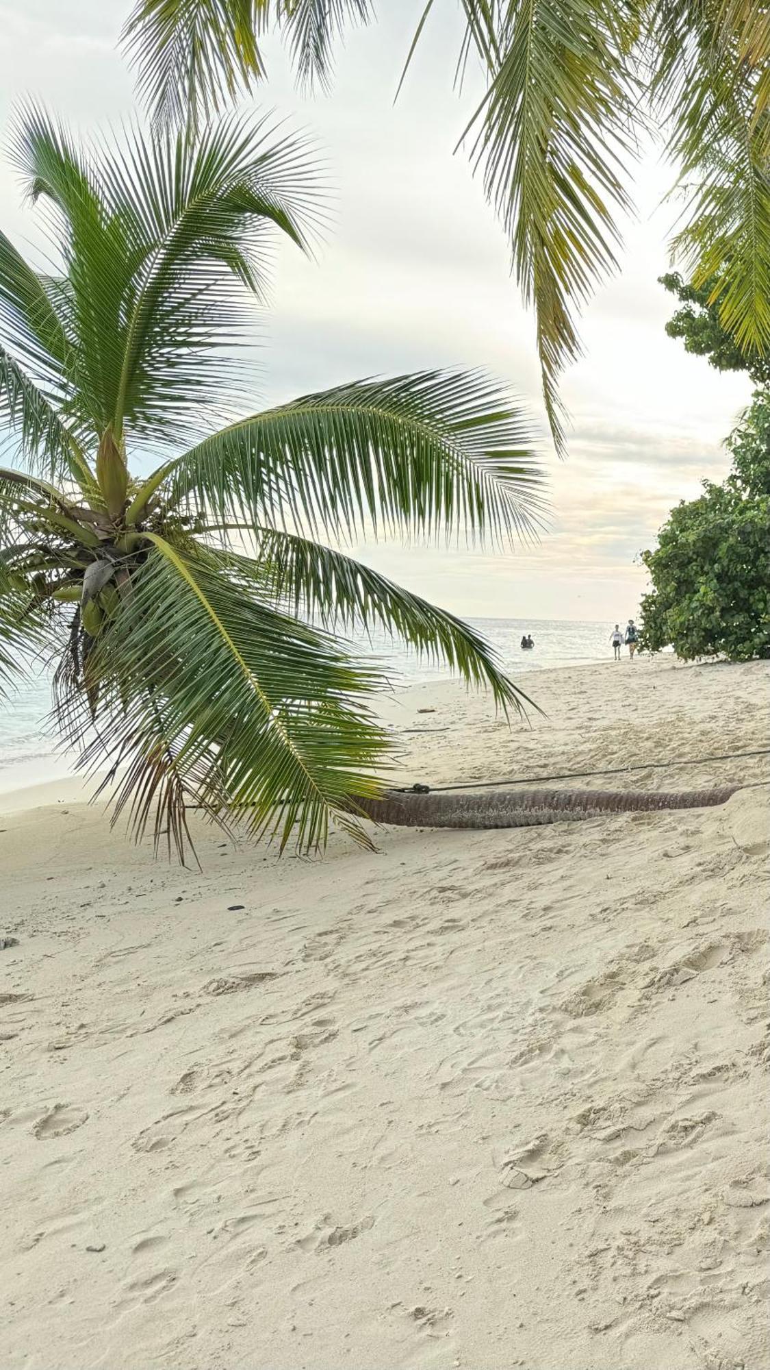 Alimas Holiday Retreat Maldives Фелиду Екстериор снимка